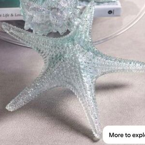 Zodax Cayo starfish aqua